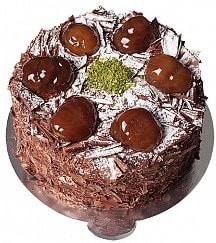 4 ile 6 kişilik Isparta Doğum günü pastası Çikolatalı Kestaneli yaş pasta